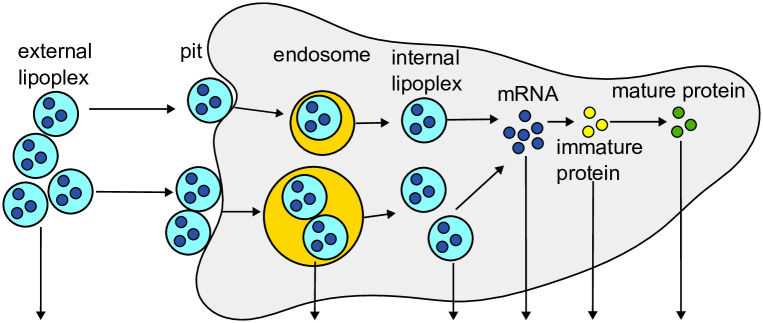 Fig 6