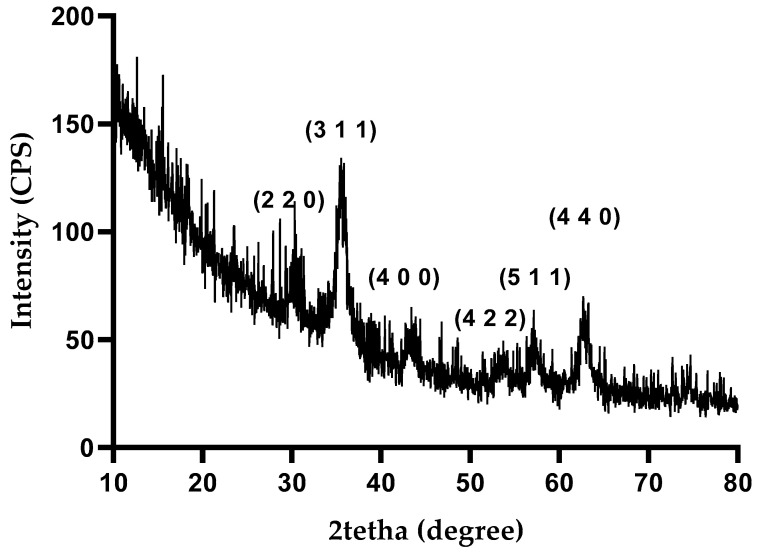 Figure 4