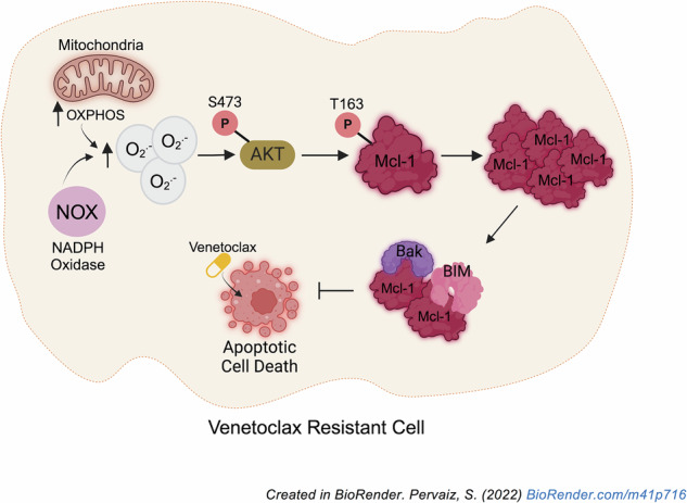 graphic file with name 41375_2025_2694_Figa_HTML.jpg