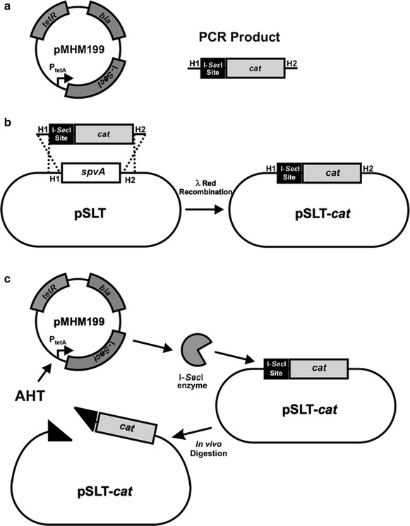 Fig. 1