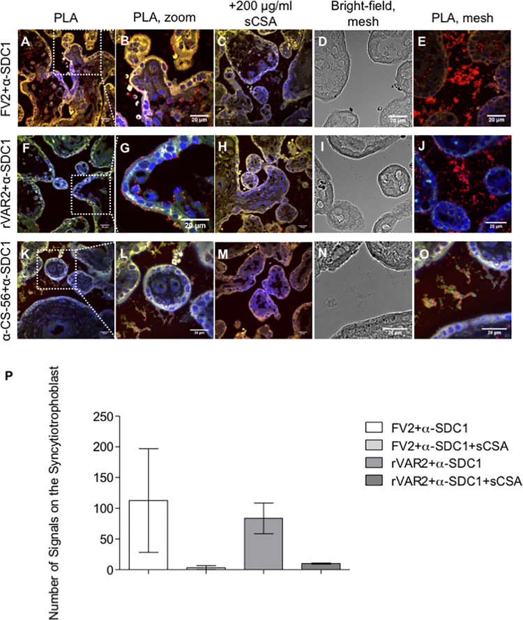 Fig 4