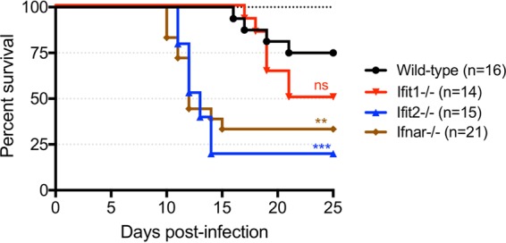 FIG 2