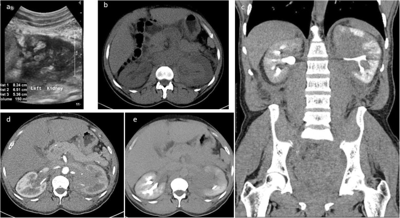 Fig. 5