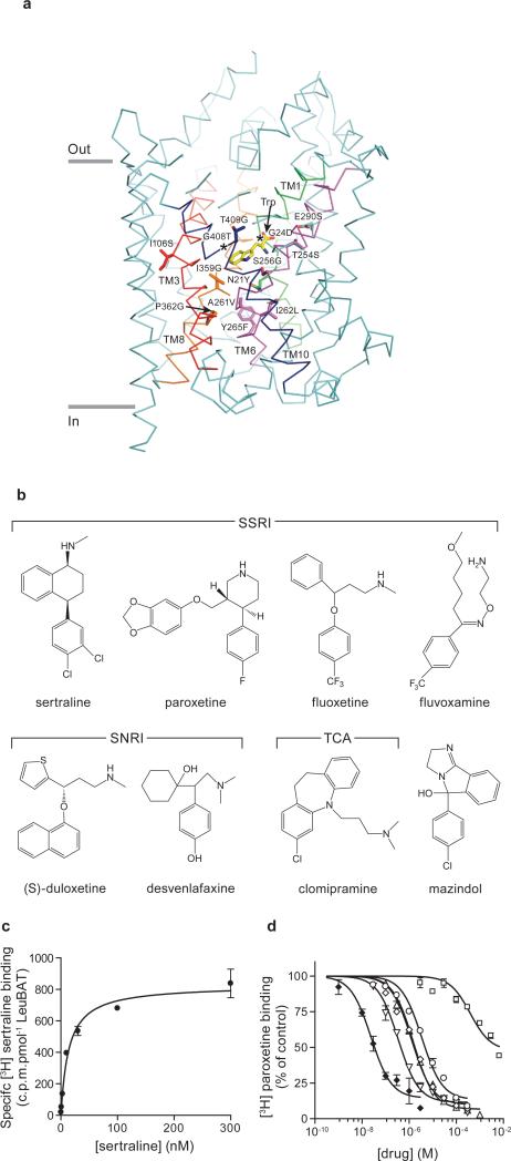 Fig. 1