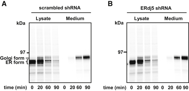 Figure 7