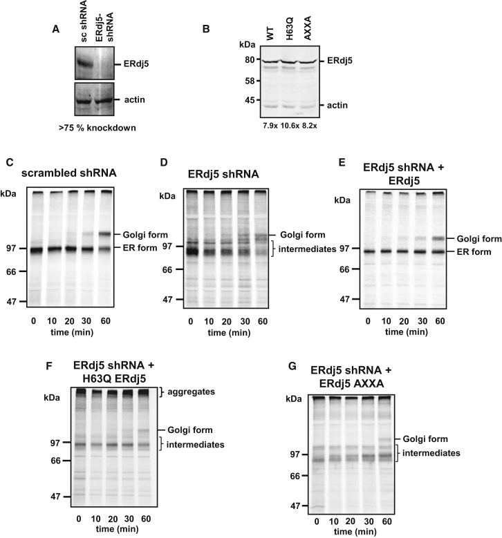 Figure 6