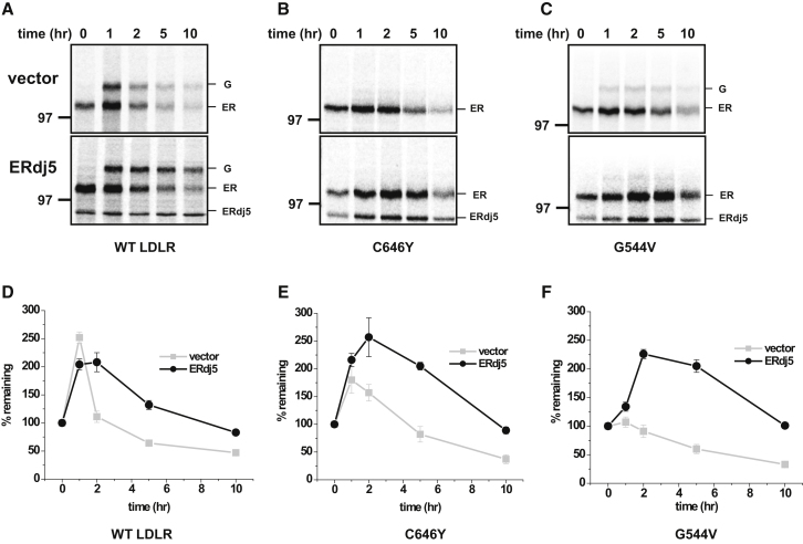 Figure 5