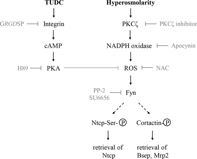 FIGURE 12.