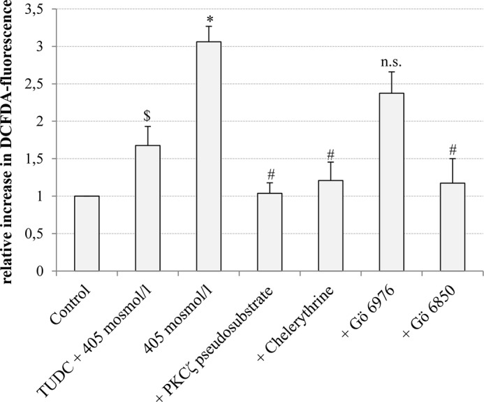 FIGURE 10.