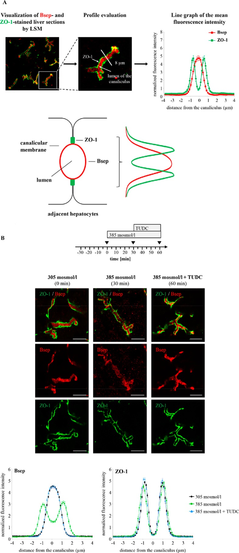 FIGURE 9.