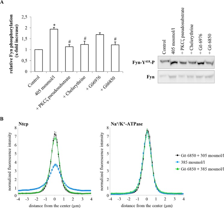 FIGURE 11.