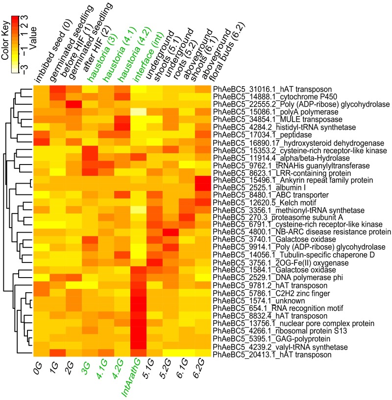 Fig. 4.