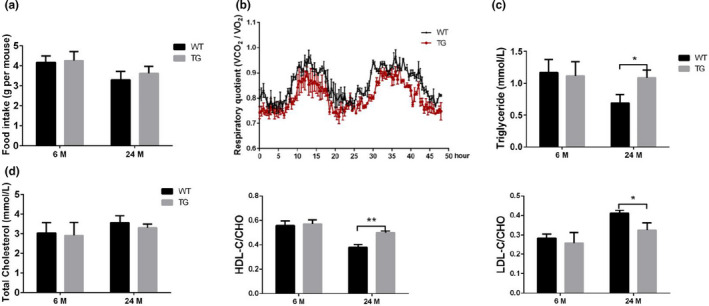 FIGURE 3