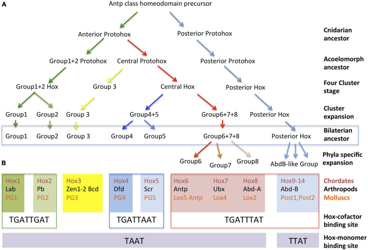 FIGURE 2