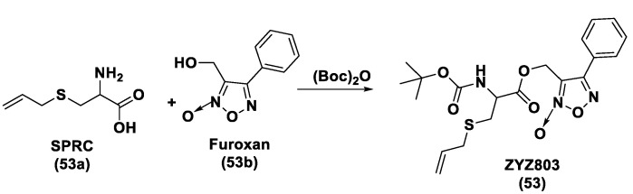 Figure 29