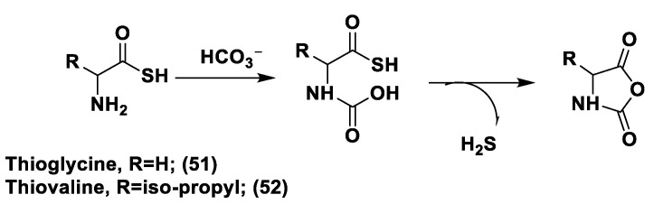 Figure 28