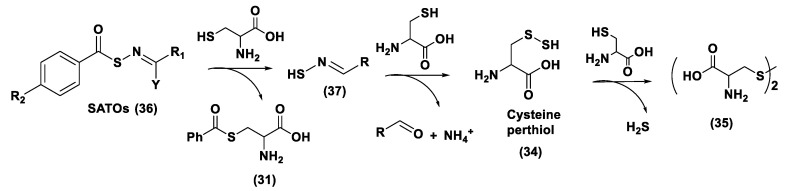 Figure 17