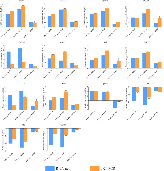 Figure 11