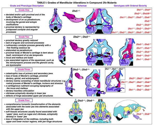 graphic file with name joa_487_t1.jpg