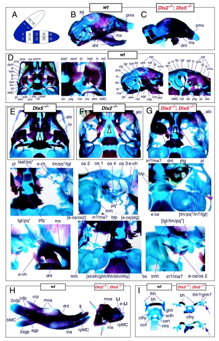 Fig. 11