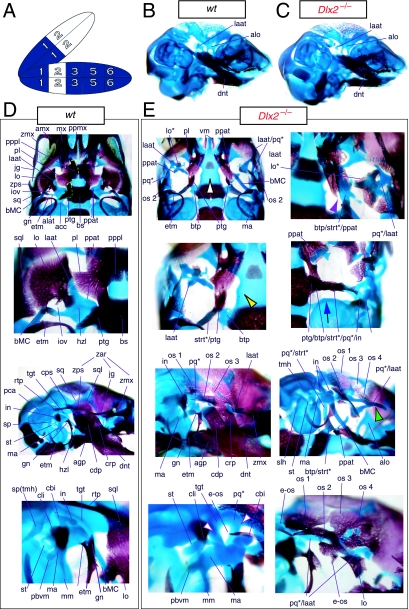 Fig. 4