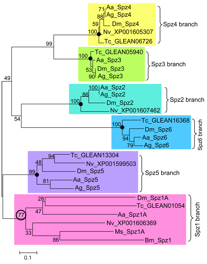 Fig. 3