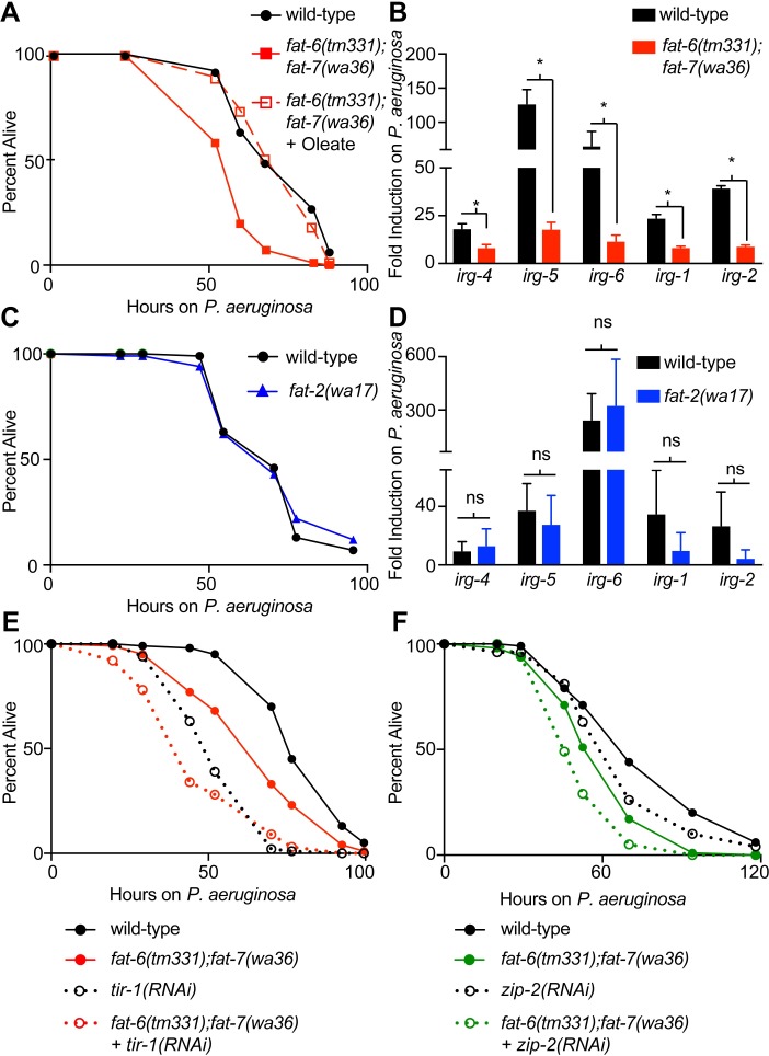 Fig 4