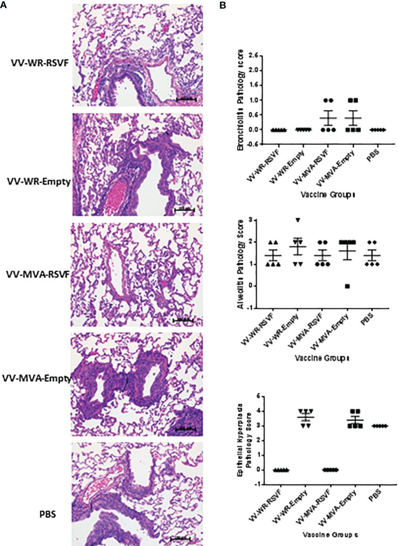 Figure 6