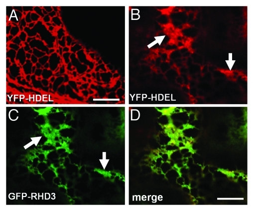 Figure 1.