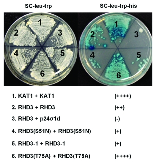 Figure 2.