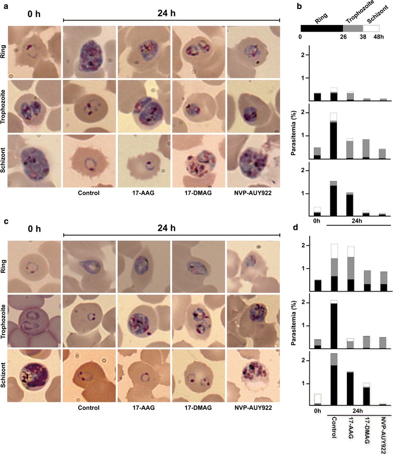 Fig. 3