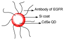 Figure 65