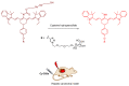 Figure 34