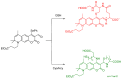 Figure 31