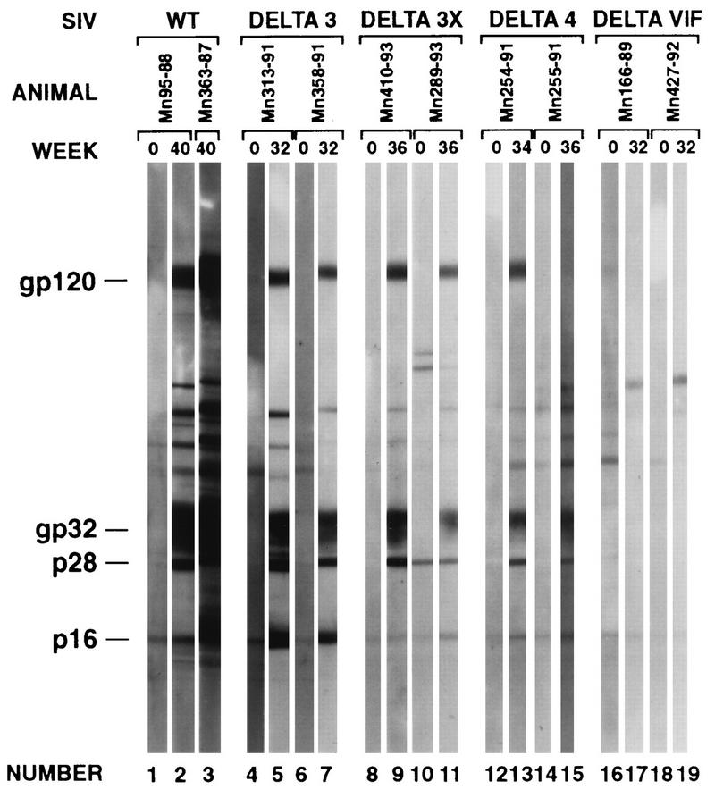 FIG. 9