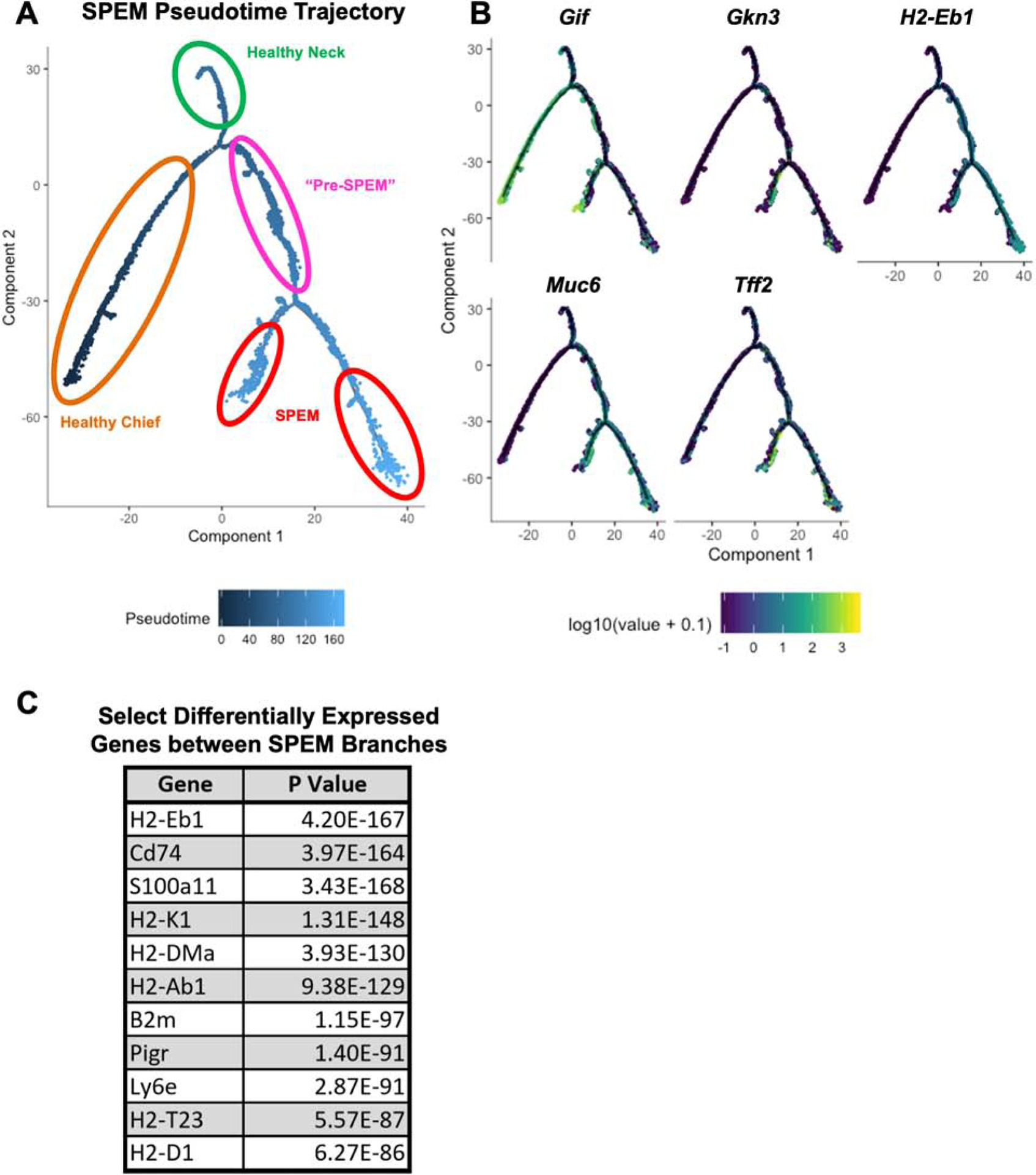 Figure 6.