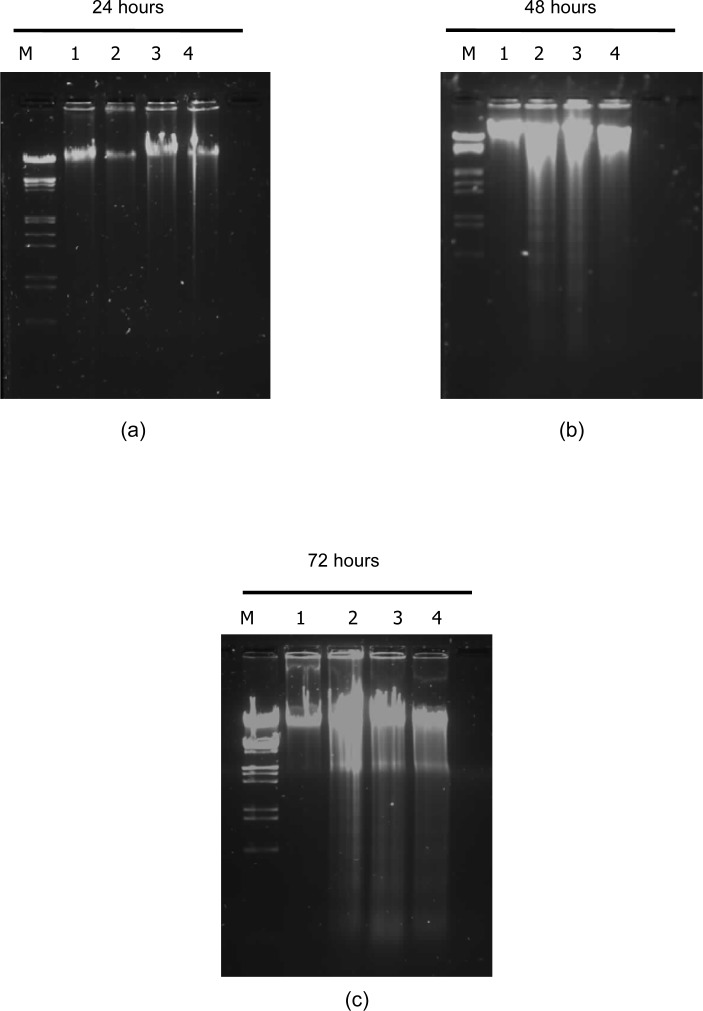 Figure 5: