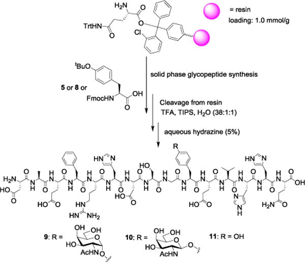 Scheme 2