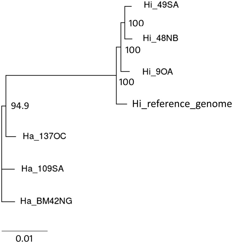 Fig. 5.—