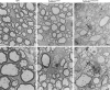 Figure 4—figure supplement 2.
