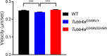 Figure 7—figure supplement 1.