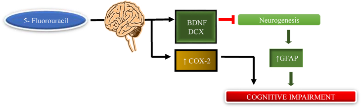 Fig. 7