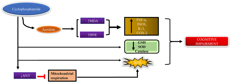 Fig. 2