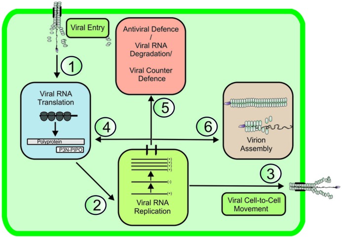 FIGURE 1