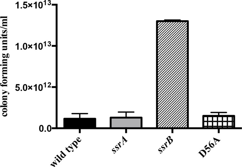 Figure 1—figure supplement 2.