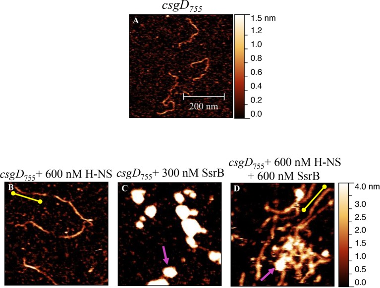 Figure 6—figure supplement 1.