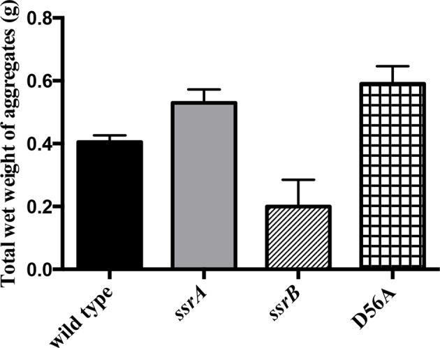 Figure 1—figure supplement 3.