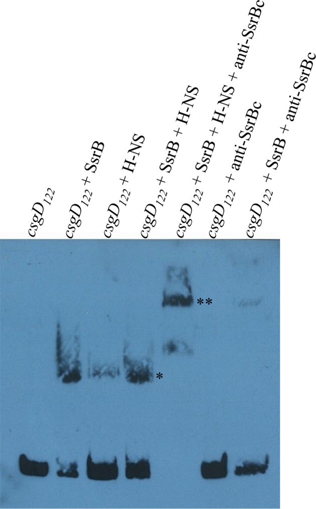 Figure 6—figure supplement 3.