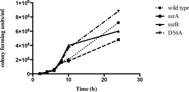 Figure 1—figure supplement 1.