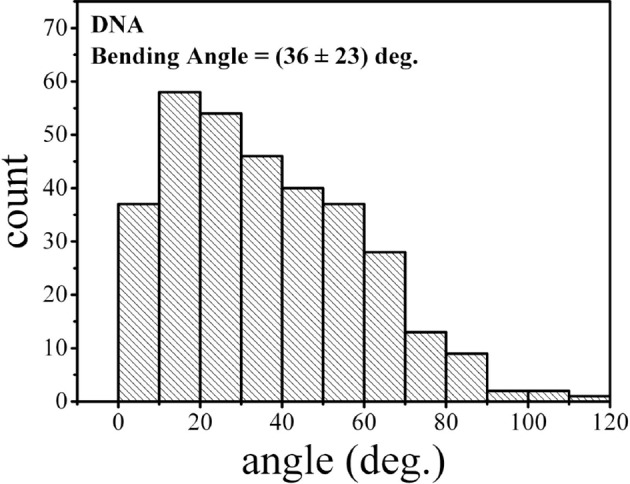 Figure 5—figure supplement 2.